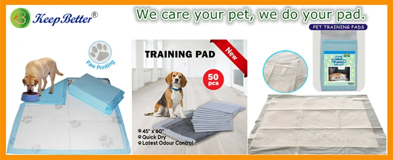Pet Incontinence Quilted Top Layer Disposable Pet Mat Potty Piddle Pads Paws Printing